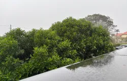 Mato Grosso do Sul se despede do outono com frio e sol neste s�bado