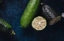 S�o Paulo cria primeiro lim�o caviar do Brasil, fruta que pode custar at� R$ 1,2 mil o quilo