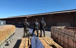 Opera��o apreende maior carga de coca�na l�quida da hist�ria em Mato Grosso