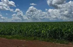 Gestora GCB chega a R$ 100 milh�es com empr�stimos para m�dios produtores rurais