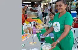 Agricultores familiares ganham 30% mais com programa do governo