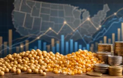 Copom decide: ritmo da queda dos juros vai depender da economia