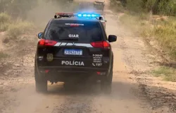Policia prende ladroes de gado que causaram prejuizo de mais de R$ 100 mil