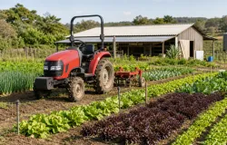 BNDES libera R$ 24,4 milh�es para ajudar agricultura familiar no Rio Grande do Sul