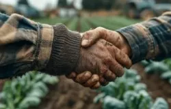Reforma Tribut�ria muda regras para troca de insumos por gr�os no agro