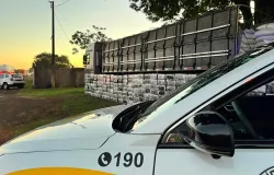 Motorista de caminh�o � preso em S�o Paulo com mais de 4 toneladas de maconha