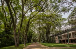 Museus nas f�rias: 6 motivos para levar as crian�as