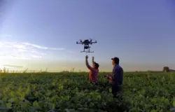 BNDES vai liberar R$ 72 bilh�es para agricultura no pr�ximo Plano Safra