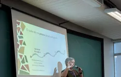 Aprendizado cont�nuo: o segredo para uma carreira longa e de sucesso