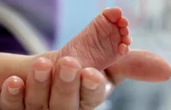 Beb� rec�m-nascido � encontrado vivo dentro de lixeira de hospital em Sorocaba