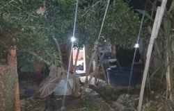 Mulher � agredida com martelada na cabe�a pelo marido