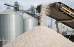 Lucro da Yara dispara 32% no segundo trimestre de 2026