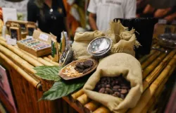 Festival do Chocolate em Ilh�us espera gerar R$ 25 milh�es em neg�cios