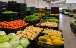 Conab divulga boletim sobre pre�os de frutas e verduras