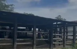 Opera��o Terra Santa salva 39 pessoas presas em cl�nica de reabilita��o em Candeias
