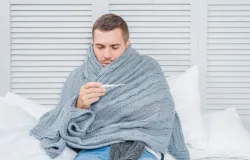 Alerta sobre febre maculosa: saiba como se prevenir e tratar a doen�a