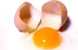 Ovo caipira ou de granja: qual a diferen�a e o que � mito?