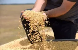 Justi�a arquiva investiga��o contra produtor rural em Mato Grosso