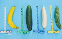 25 cm � raro? Entenda o tamanho m�dio do p�nis dos brasileiros