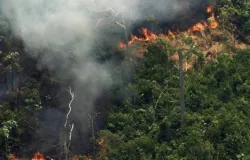 Mato Grosso tem queda recorde de queimadas em julho e bombeiros pedem aten��o