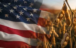 Radar Rural debate rea��o do Brasil ao tarifa�o e desafios da safra de soja