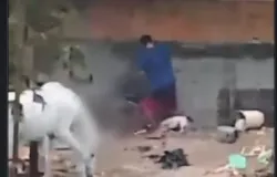 Homem � preso por maltratar animais em Sepetiba