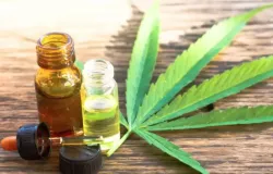 Anvisa pro�be venda de produtos de cannabis sem autoriza��o