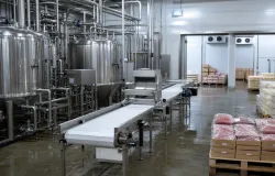 TCU decide sobre multas que podem afetar produtores de carne e leite