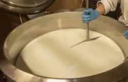 Menino morre depois de 9 anos em coma por causa de queijo contaminado
