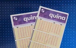 Quina 7082: ningu�m acerta e pr�mio vai a R$ 3,6 milh�es