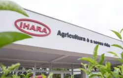 Ihara v� vendas est�veis, mas menos compras futuras em safra de cautela
