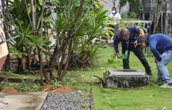 Salvador � a capital do Nordeste com maior risco de dengue, zika e chikungunya
