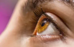 Especialista desvenda mitos e verdades sobre catarata e pter�gio