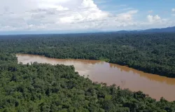 Multas ambientais poder�o financiar recupera��o de biomas brasileiros
