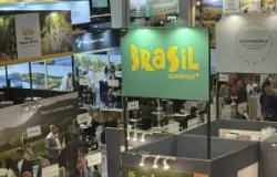 Vinho brasileiro brilha no exterior: exporta��es crescem 23,73% no primeiro semestre