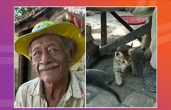 Morte de guardi�o ind�gena deixa mais de 60 gatos sem lar no Pantanal