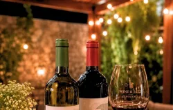 Noite especial junta vinhos brasileiros e jazz em restaurante de Bras�lia