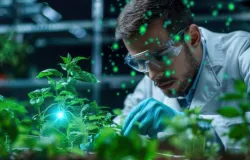 Lei dos bioinsumos: produtores pedem regras claras e temem burocracia