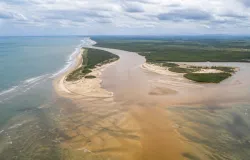 Estudo revela recorde de peixes deformados no litoral norte do ES