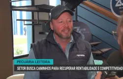 Pecu�ria leiteira busca recupera��o em meio a desafios de mercado