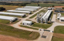 Seara investe R$ 4 bilh�es em granjas e premia melhores produtores