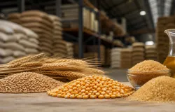 Pre�o de alimentos no mundo sobe em julho, puxado por trigo, milho e a��car