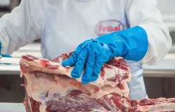 Abate de bovinos no Brasil cai 21,6% em julho e preocupa setor