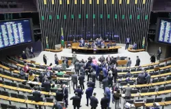 C�mara volta a trabalhar de casa �s v�speras das elei��es