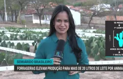T�cnica simples faz produ��o de leite saltar de 3,5 para 20 litros por vaca na Bahia
