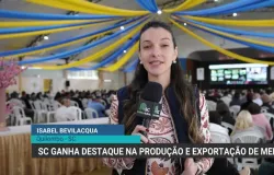 Santa Catarina lidera a producao e exportacao de mel no Brasil em 2026