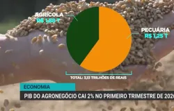 PIB do agroneg�cio brasileiro cai 2% no in�cio de 2026 e preocupa produtores