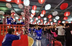 Aul�o de dan�a japonesa gr�tis em Campo Grande: saiba como participar