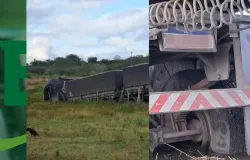 Pol�cia recupera caminh�o roubado e salva motorista feito ref�m em S�o Gon�alo dos Campos