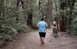 Movimentos simples no dia a dia ajudam a ter uma vida mais saud�vel